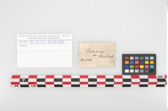 Etikett zu Eisenkonvolut (NHMW-PRAE-094301)